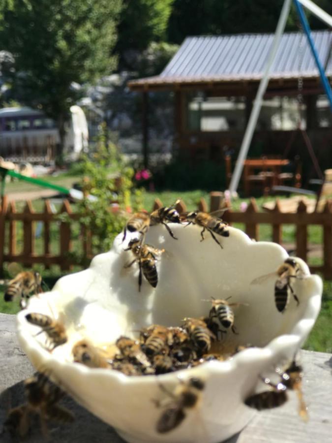 Hotel Bujtina Izet Selimaj Valbone Exterior foto